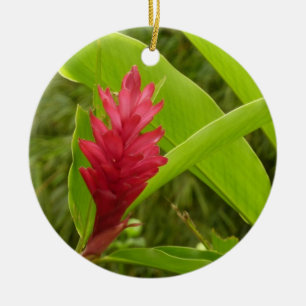 Ornamento De Cerâmica Flor Vermelho Ginger (Alpinia)