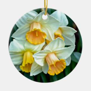 Ornamento De Cerâmica Flores amarelas do daffodil