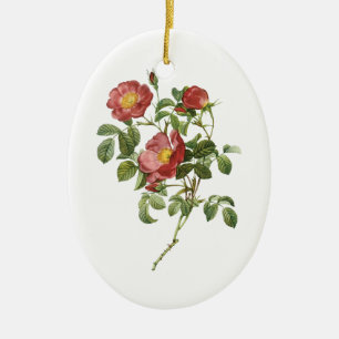 Ornamento De Cerâmica Flores Antigas Floral Rosa Vermelha do Amor por Re