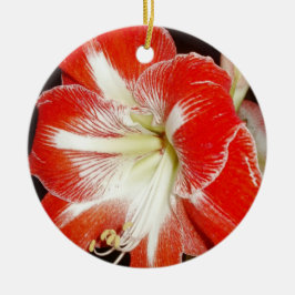 Ornamento De Cerâmica Flores da Fé 2 Corinthians Amaryllis Ornament