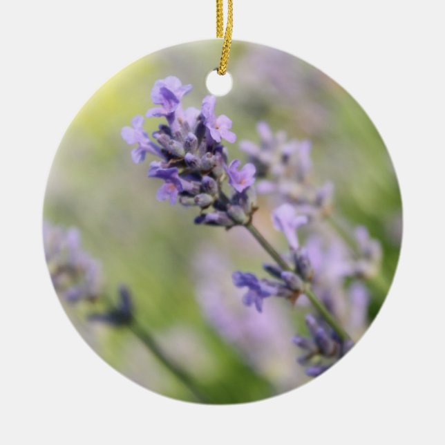 Ornamento De Cerâmica Flores da lavanda (Frente)