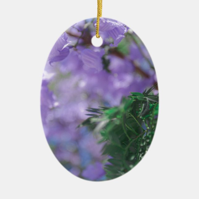 Ornamento De Cerâmica Flores de Árvore Purple Jacaranda (Frente)