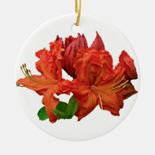 Ornamento De Cerâmica Flores de Azaléia Laranja
