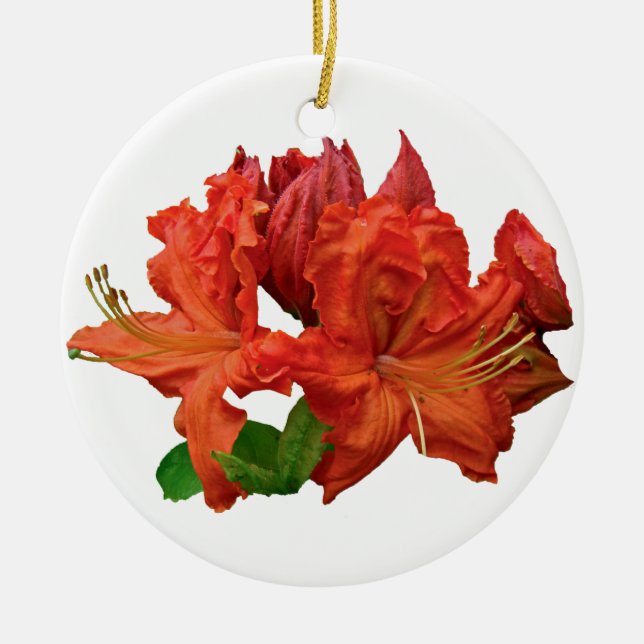 Ornamento De Cerâmica Flores de Azaléia Laranja (Frente)