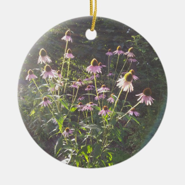 Ornamento De Cerâmica Flores de Echinacea ao Sol (Frente)