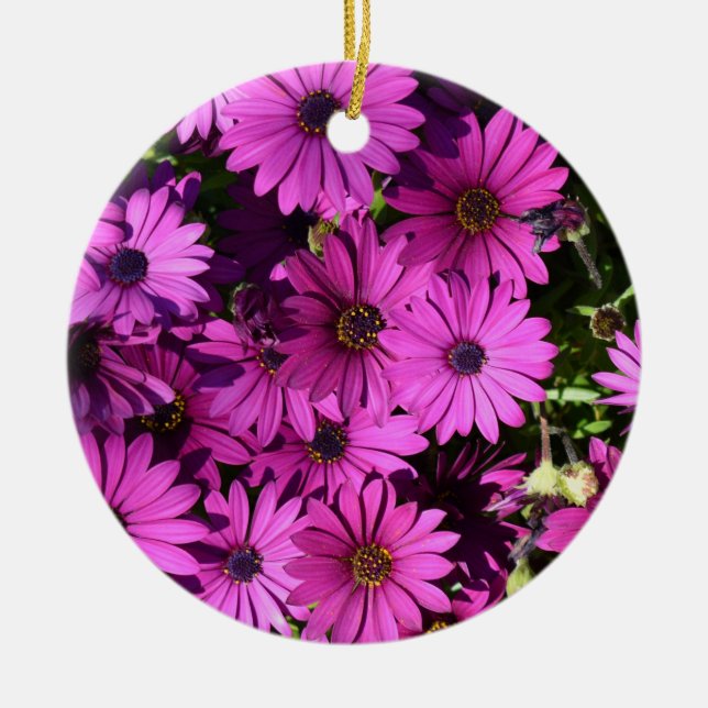 Ornamento De Cerâmica Flores De Osteospermum Roxo (Frente)