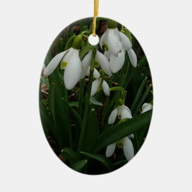 Ornamento De Cerâmica Flores de primavera Brancas I (Galanthus) (Frente)