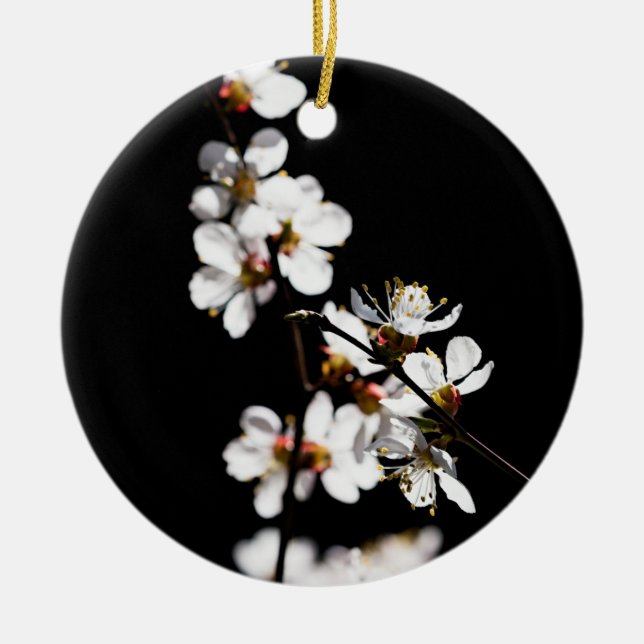 Ornamento De Cerâmica Flores Sakura (Frente)