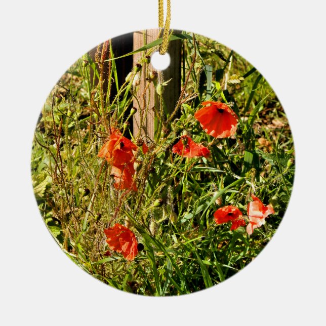 ORNAMENTO DE CERÂMICA FLORES SELVAGENS (Frente)