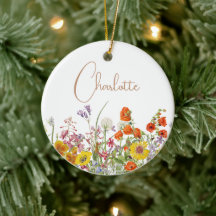 Flores Selvagens Coloridas Nome Botânico País