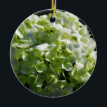 Ornamento De Cerâmica Flores verdes dos Hydrangeas<br><div class="desc">Flores verdes dos Hydrangeas</div>