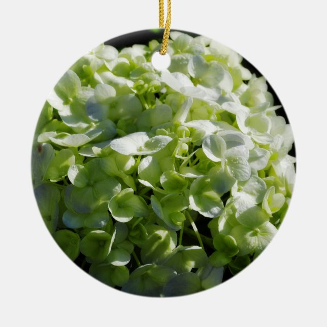 Ornamento De Cerâmica Flores verdes dos Hydrangeas (Frente)