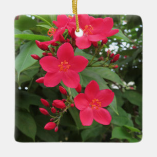 Ornamento De Cerâmica Flores Vermelhas de Jatropha