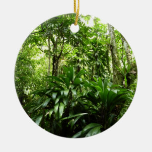 Ornamento De Cerâmica Floresta Dominicana I Natureza Verde Tropical