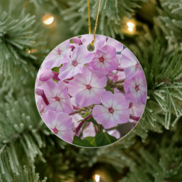 Ornamento De Cerâmica Flox Vibrante em Flor Botânica