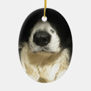 Ornamento De Cerâmica Focinho de cachorro de perto