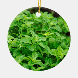 Ornamento De Cerâmica Folhas