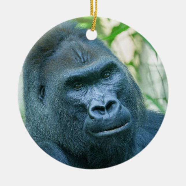 Ornamento De Cerâmica Força Inabalável Silverback Gorilla Kito (Frente)
