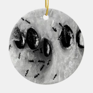 Ornamento De Cerâmica formigas surfadoras