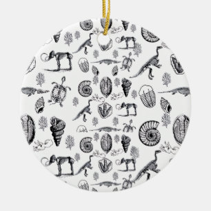 Ornamento De Cerâmica Fósseis