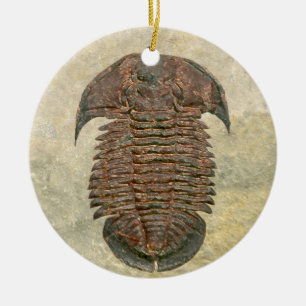 Ornamento De Cerâmica Fóssil Trilobite de Yuepingia