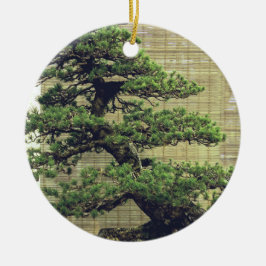 Ornamento De Cerâmica Foto da árvore do pinheiro branco japonês Bonsai