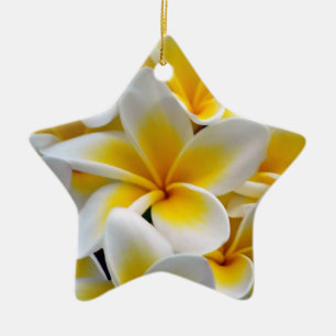 Ornamento De Cerâmica Foto da flor do Plumeria do Frangipani