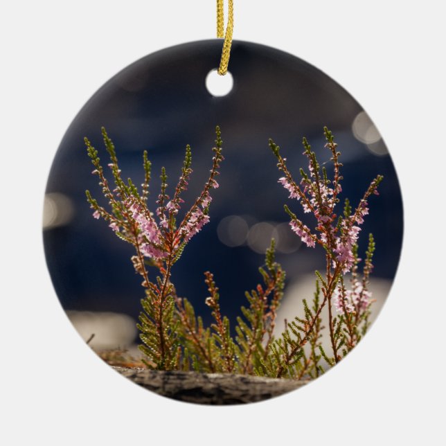 Ornamento De Cerâmica Foto da natureza comum da Heather (Frente)