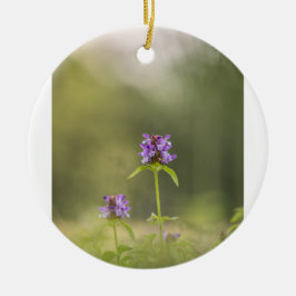 Ornamento De Cerâmica Foto da Natureza da Flor Roxa