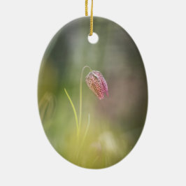 Ornamento De Cerâmica Foto da Natureza do Chess Flower