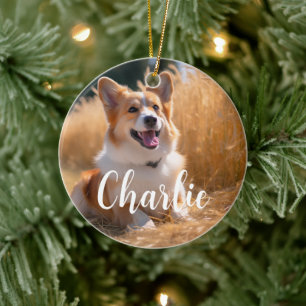 Ornamento De Cerâmica Foto de animal de estimação personalizada com nome