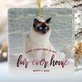 Ornamento De Cerâmica Foto de animal de estimação Primeiro Natal Lar Ete