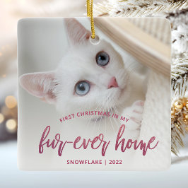 Ornamento De Cerâmica Foto de animal de estimação Primeiro Natal Lar Ete