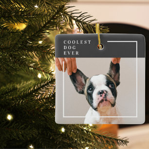 Ornamento De Cerâmica Foto de Cachorro Moderno Cachorro Mais Legal