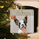 Ornamento De Cerâmica Foto de Cachorro Moderno | Melhor Porco Nunca Cerv<br><div class="desc">Foto de Cachorro Moderno | Melhor Porco Nunca Cerveja</div>