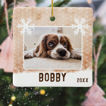 Foto de Cachorro Nome do Pet Floco de Neve Aquarel