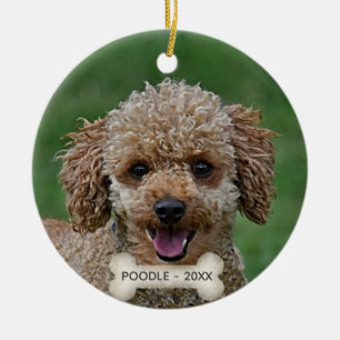 Ornamento De Cerâmica Foto de cachorro Poodle com laranja personalizado