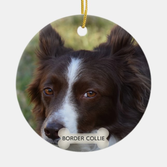 Ornamento De Cerâmica Foto de Cão Collie de Borda Marrom Personalizada (Frente)