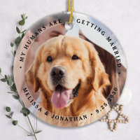 Foto de Cão de Casamento de Pet do Noivado Moderno