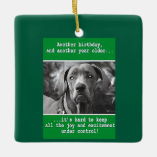 Ornamento De Cerâmica Foto de Cão Personalizado Engraçado Aniversário
