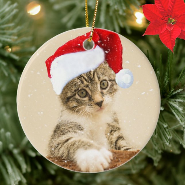Ornamento De Cerâmica Foto de Cat do Tabby da Caixa de Natal Personaliza (Criador carregado)