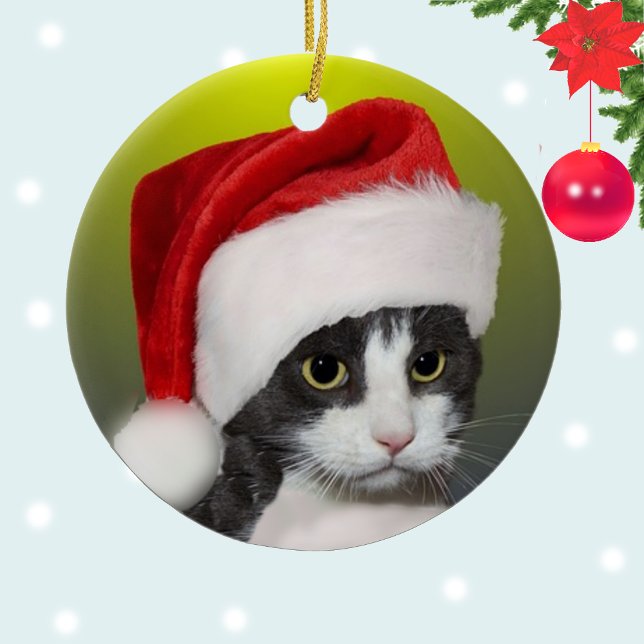 Ornamento De Cerâmica Foto de Cat Tuxedo de Natal Personalizada (Criador carregado)