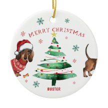 Foto de Dachshund de Natal