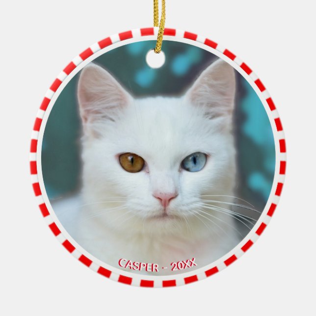 Ornamento De Cerâmica Foto de Gato Branco Personalizado com Quadro Verme (Frente)