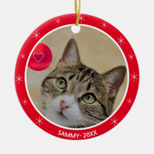 Ornamento De Cerâmica Foto de gato malhado e flocos de neve