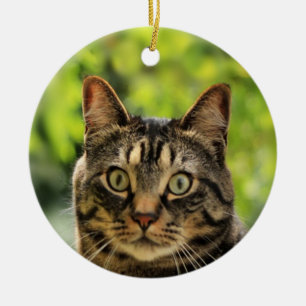 Ornamento De Cerâmica Foto de gato malhado marrom personalizada