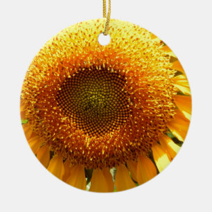 Ornamento De Cerâmica Foto de girassol gigante amarelo mamute