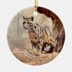 Ornamento De Cerâmica foto de leopardo nebuloso na natureza
