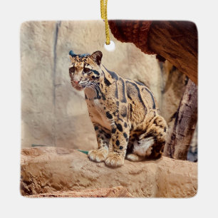 Ornamento De Cerâmica foto de leopardo nebuloso na natureza