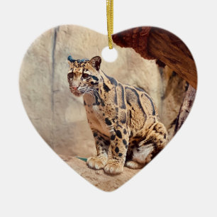Ornamento De Cerâmica foto de leopardo nebuloso natureza vida selvagem e
